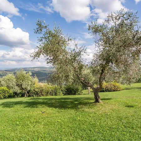 Fattoria Querceto-2
